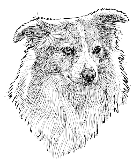 Desenho à mão livre de cachorro pequeno fofo fofo