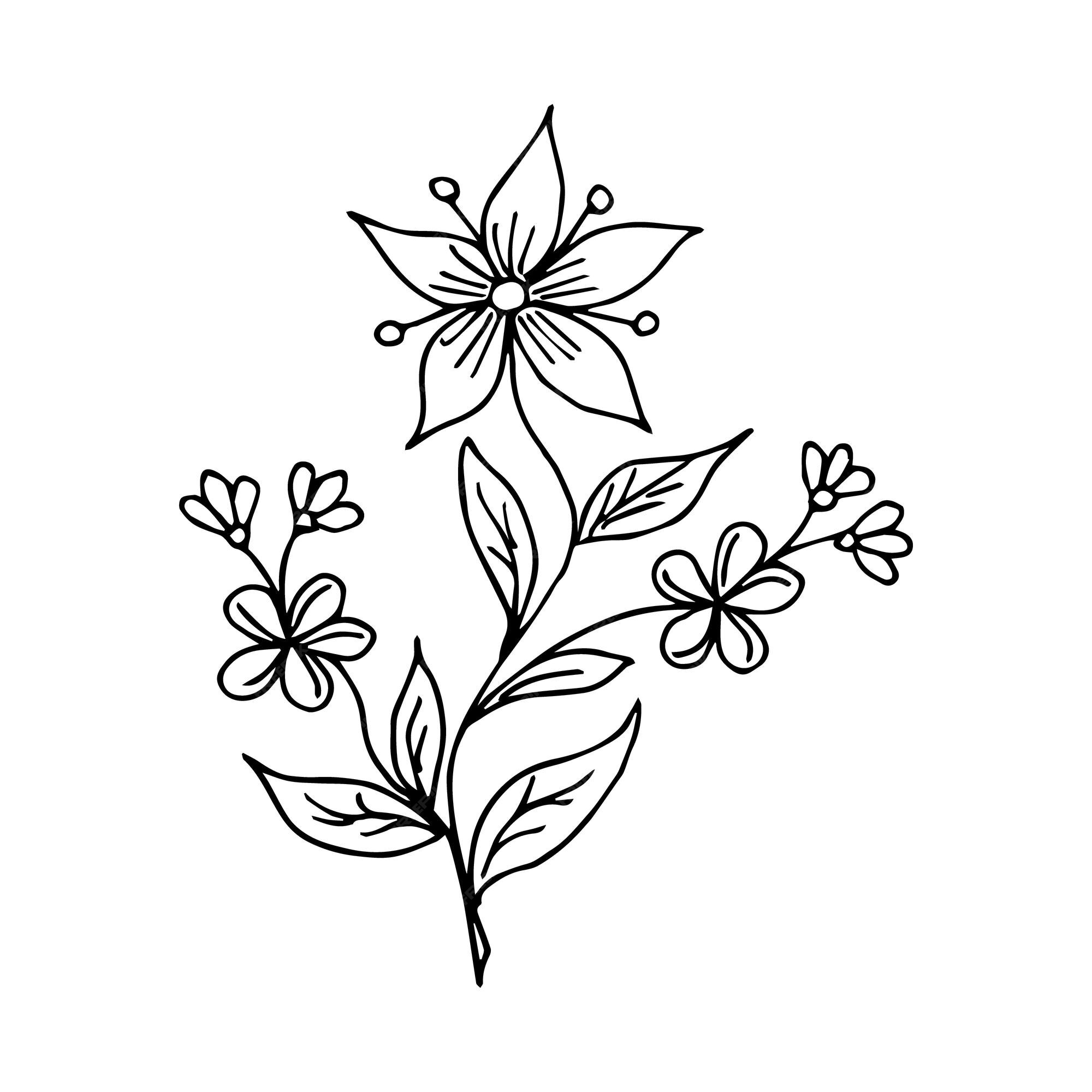 mão desenhar desenho de flores em preto e branco para livro de colorir  adulto. 8928441 Vetor no Vecteezy