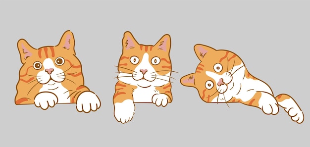 Espreitando fundo gato curioso — Ilustração de Stock