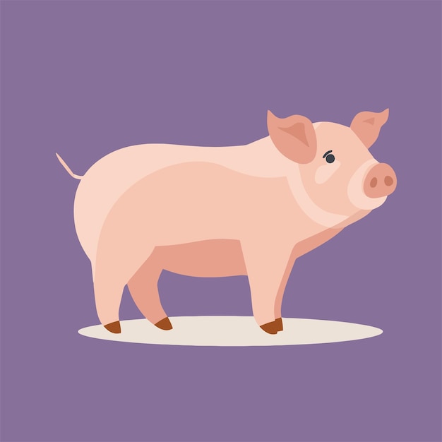desenho animado de porco ilustração plana vetorial