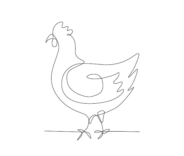 COMO DESENHAR UMA GALINHA FÁCIL - HOW TO DRAW A CHICKEN EASY 