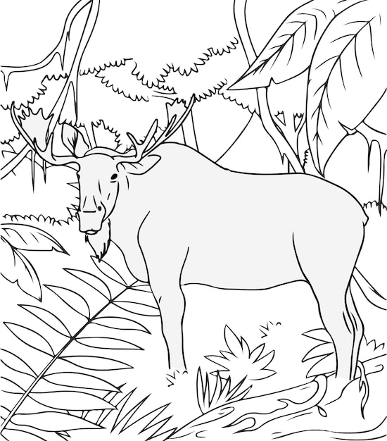 Vetor desenho de alce na selva para colorir