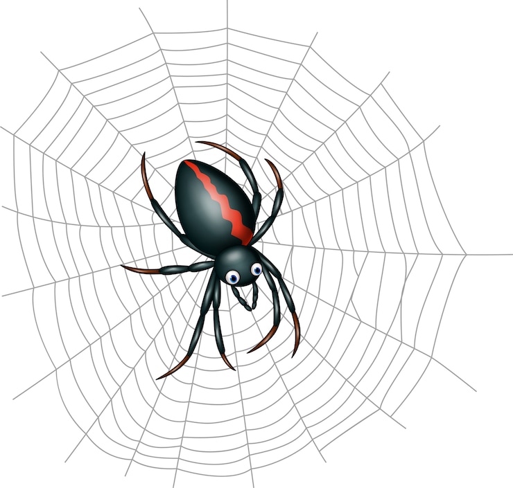 Vetor desenho de aranha bonito