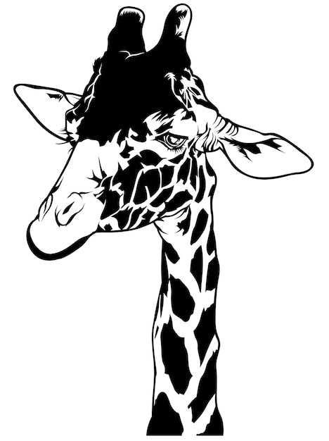Desenho de cabeça de girafa - ilustração de contorno preto isolada no fundo branco, vetor
