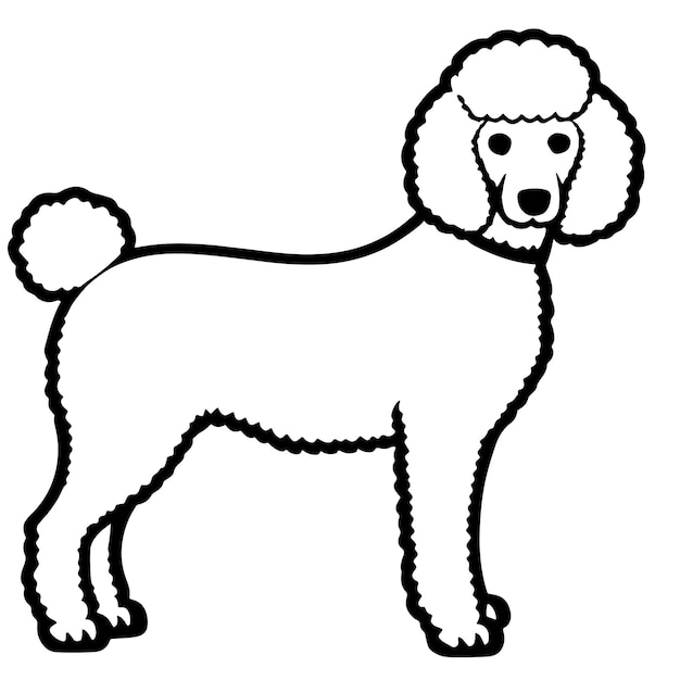 Desenho de cachorro poodle para colorir para crianças.