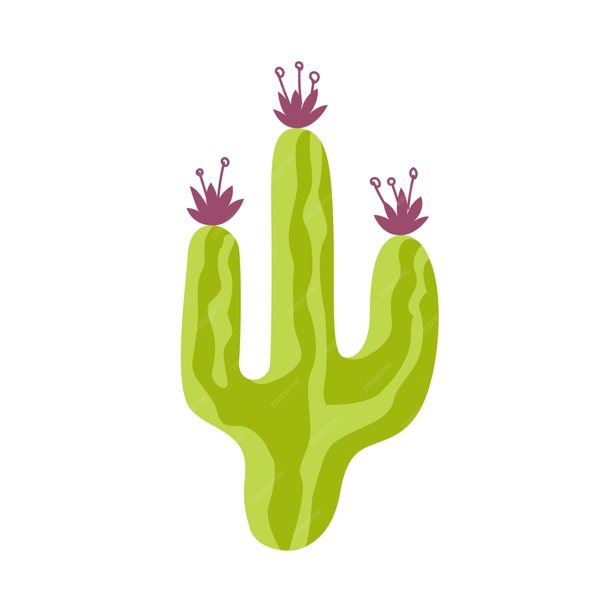 Conjunto de várias plantas espinhosas do deserto ou cactos com espinhos  isolados no fundo branco ilustração de desenho vetorial