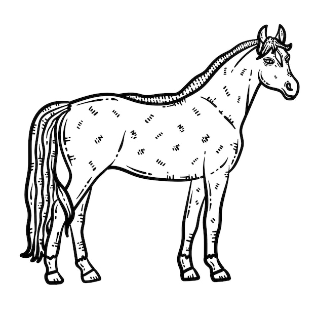 Desenho de cavalo para colorir para adultos