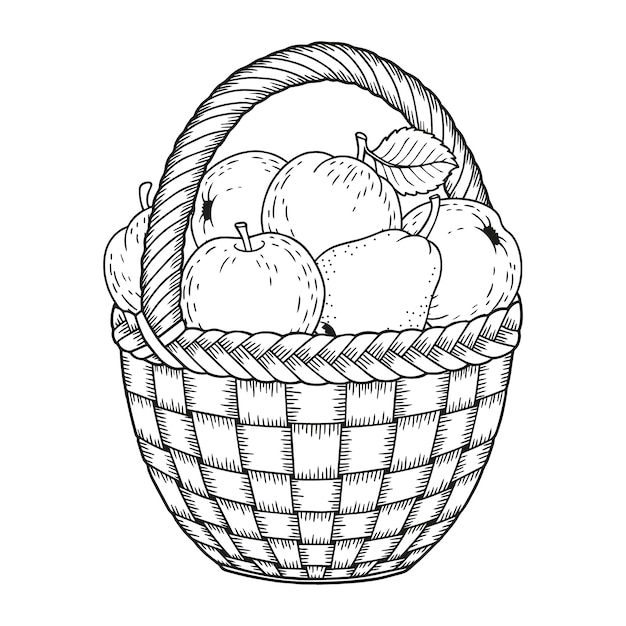 Desenho de cesta de frutas para livro de colorir