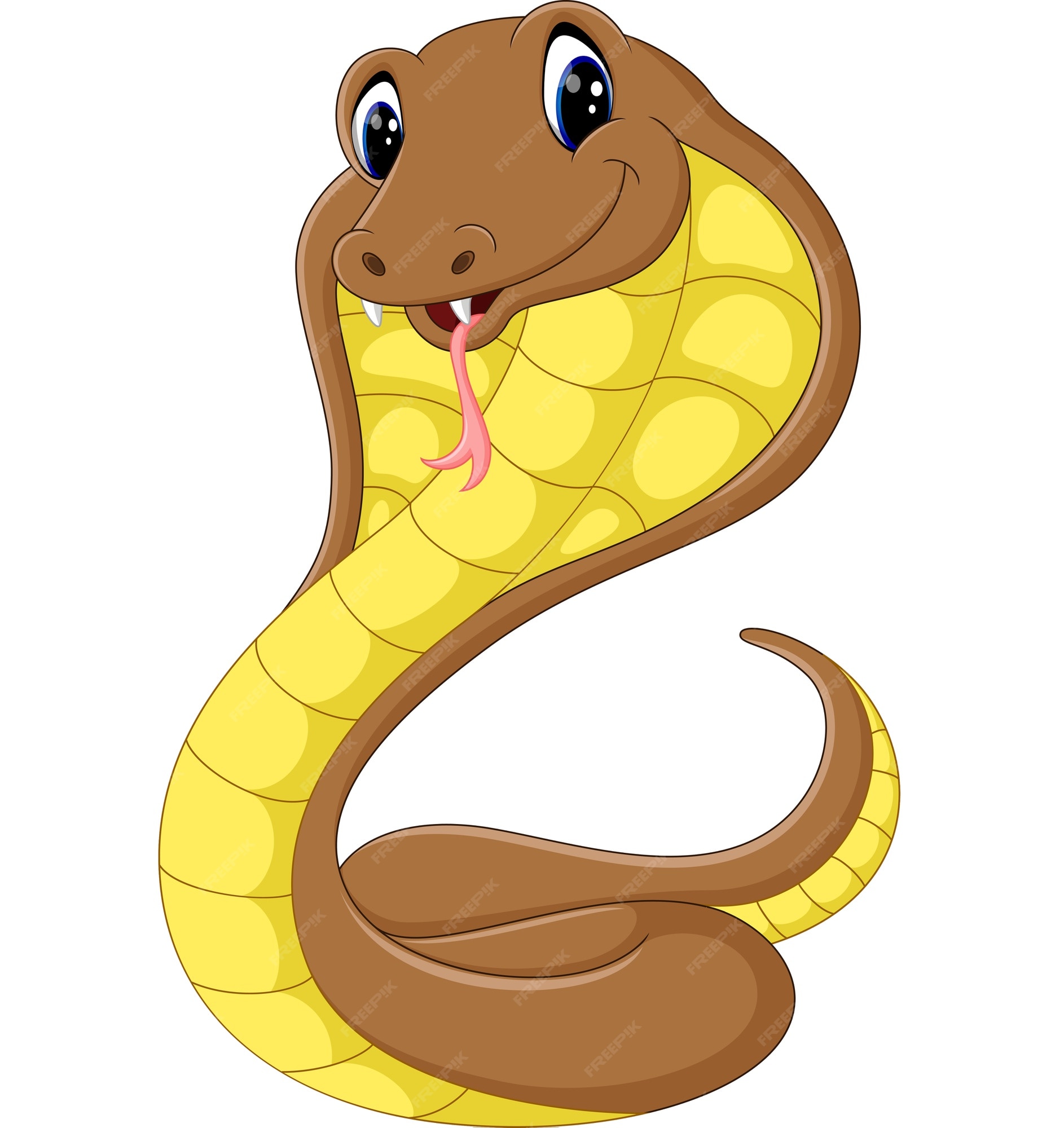 cobra . personagem de desenho animado bonito. 19550042 PNG