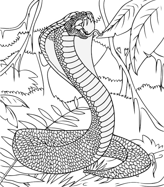 Cobra para Colorir e Pintar - Como Desenhar Bem Feito