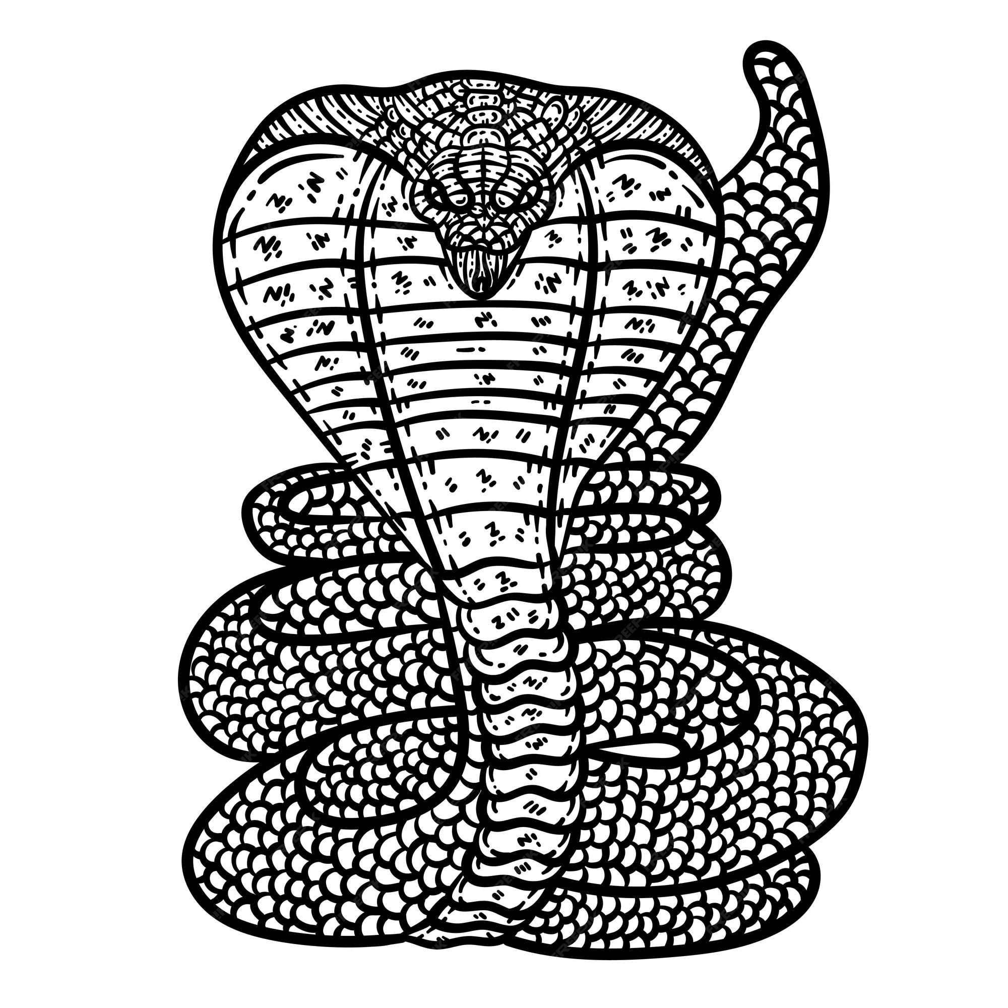 Desenhos de cobra para colorir