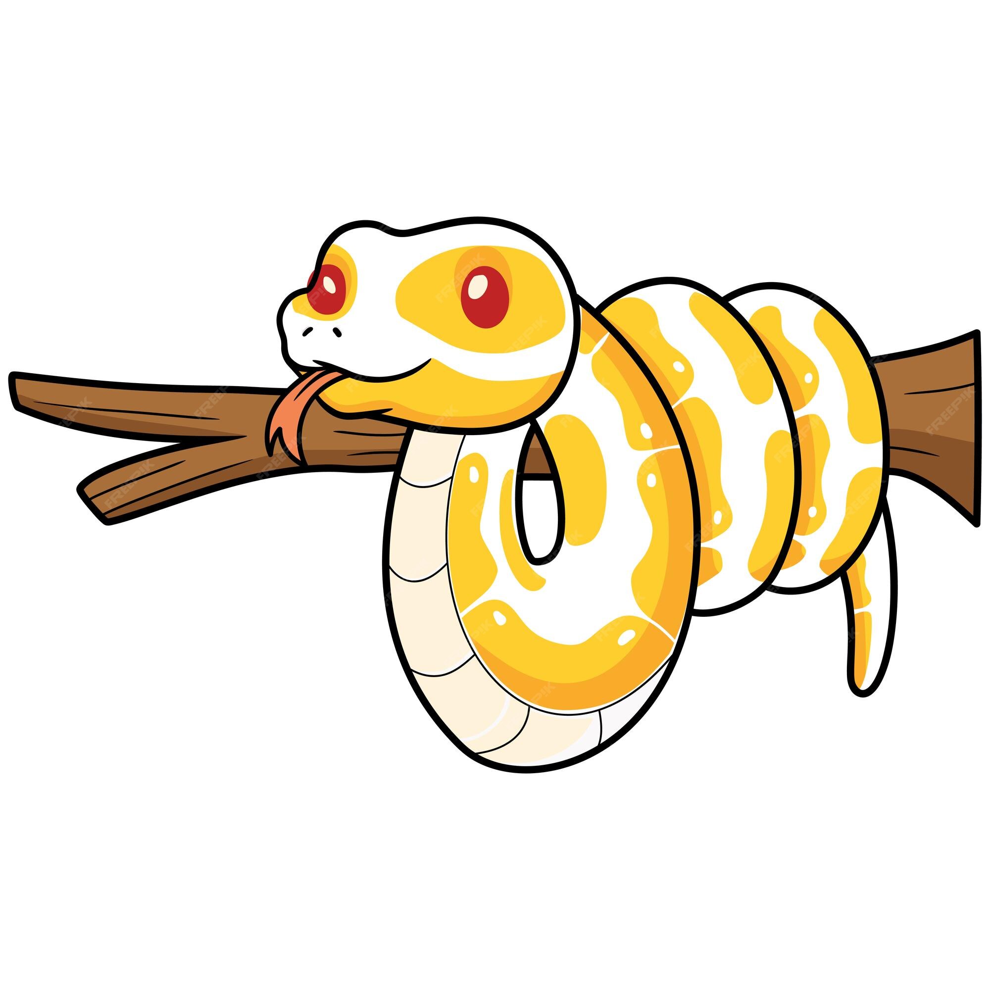 Desenho de cobra python bola albino bonito