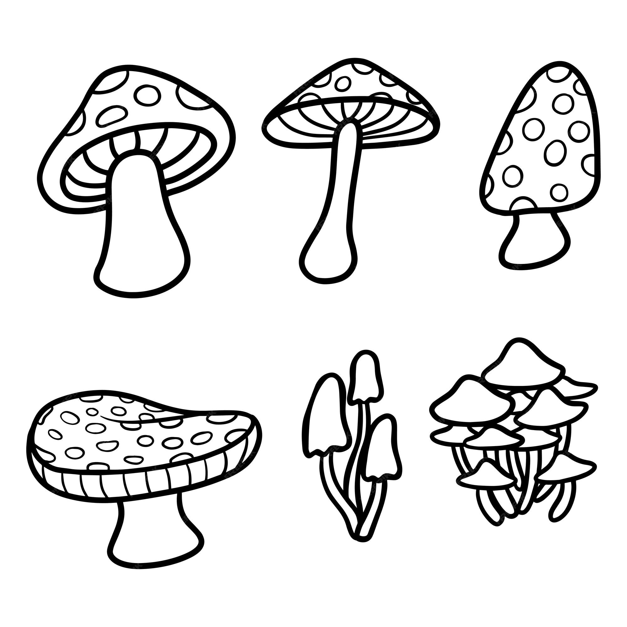 50 desenhos, moldes e riscos de cogumelo para colorir, pintar, imprimir!  Muitos desenhos de cogumelos! - ESPAÇO EDU…