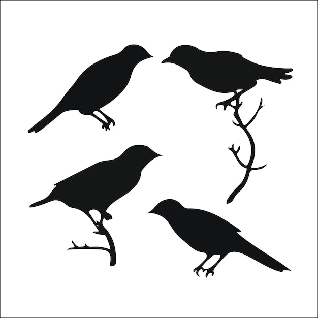 Desenho de coleção vetorial de fotos de silhuetas de aves
