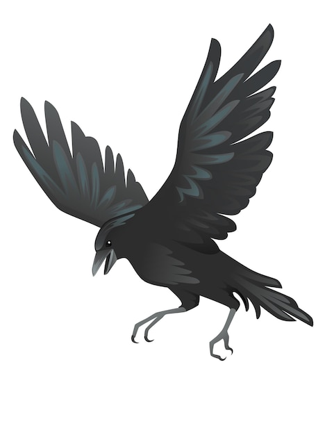 Vetor desenho de corvo de desenho de pássaro de corvo preto ilustração de animal de vetor plano isolado em fundo branco