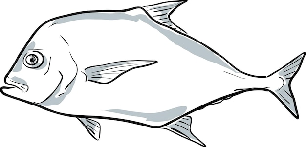 Vetor desenho de desenho animado de peixe pompano africano da flórida