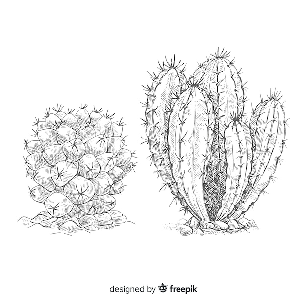 Desenho de dois cactos, ilustração em preto e branco para colorir