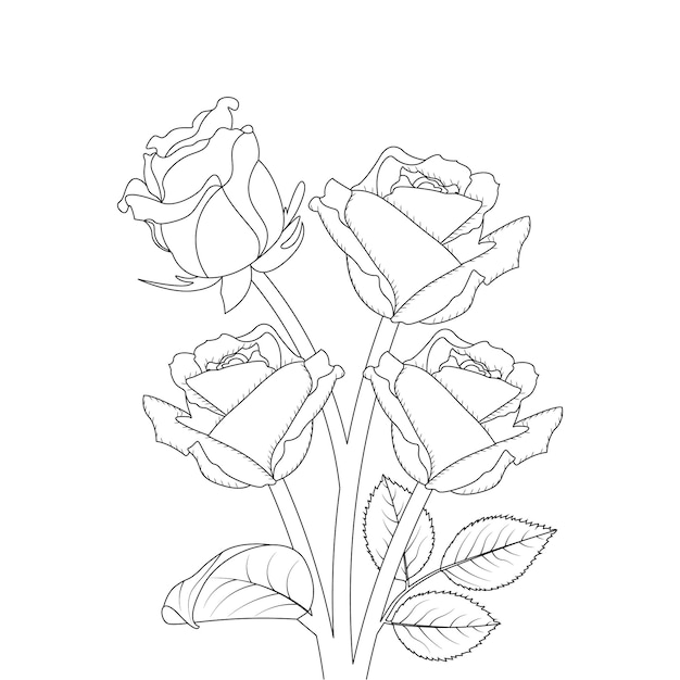 Vetor desenho de esboço de página de coloração de flor rosa com desenho decorativo desenhado à mão