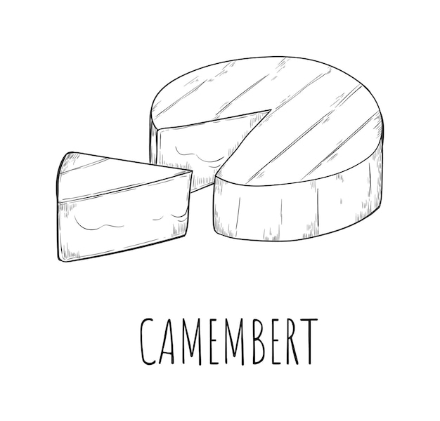 Desenho de esboço de produto lácteo com queijo camembert isolado
