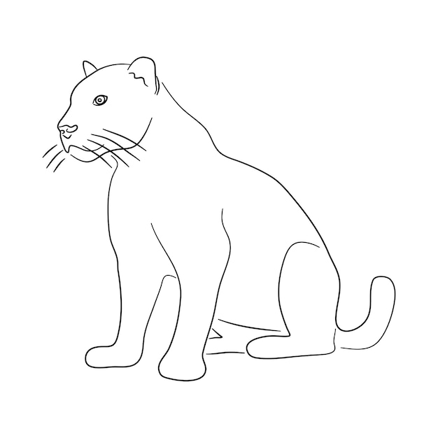 Desenho de esboço de uma pantera isolada em uma ilustração vetorial de fundo branco