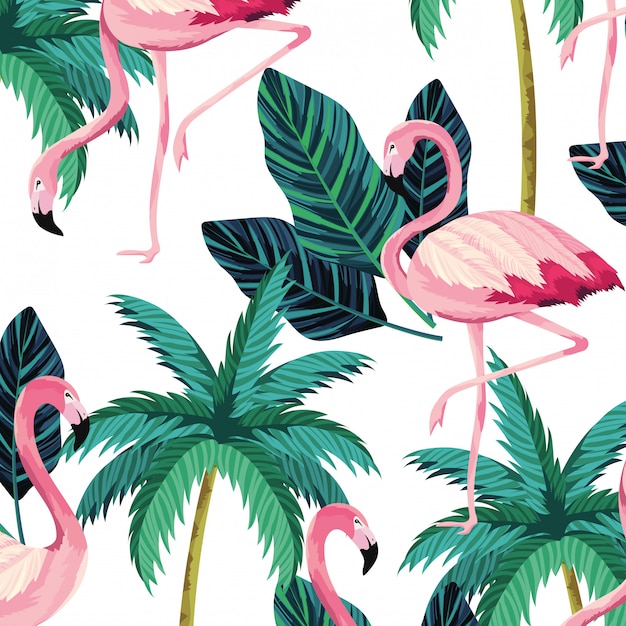 Desenho de flamingos tropicais