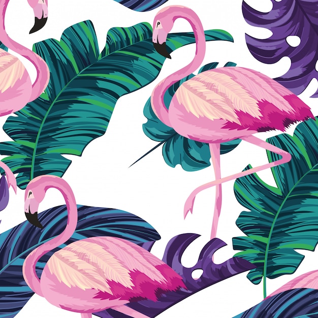 Desenho de flamingos tropicais