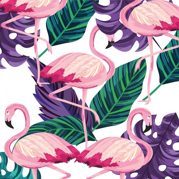 Desenho de flamingos tropicais