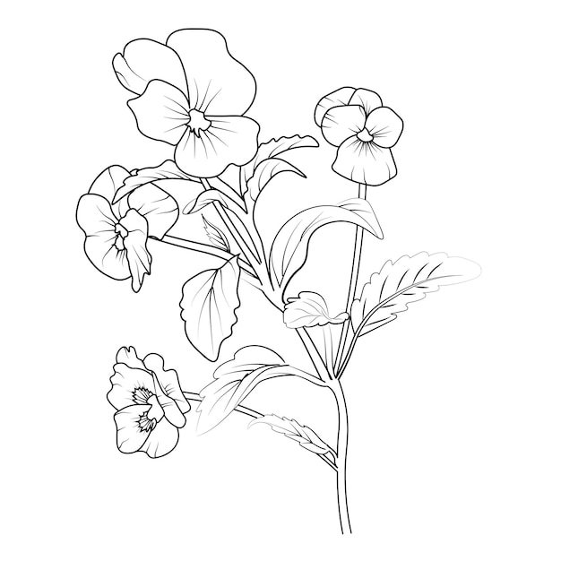 Desenho De Flores Amor Perfeito Página Para Colorir Esboço Vetor PNG ,  Desenho De Flor, Desenho De Flores, Desenho De Asa Imagem PNG e Vetor Para  Download Gratuito