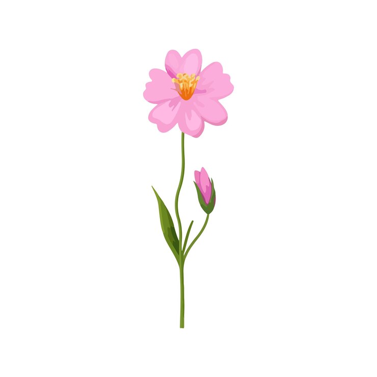 Vetor desenho de flores botânicas