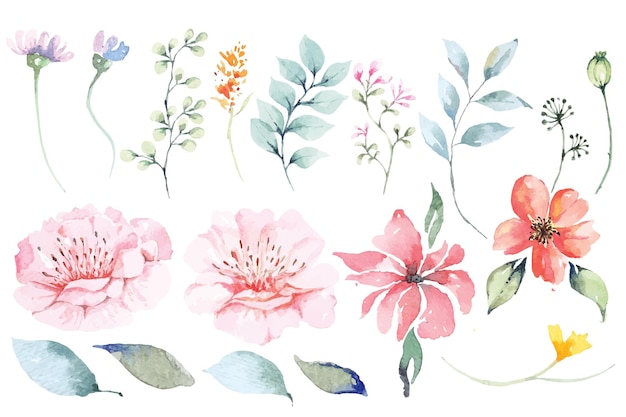 Vetor desenho de flores com aquarela para decorar cartões de convite de casamento