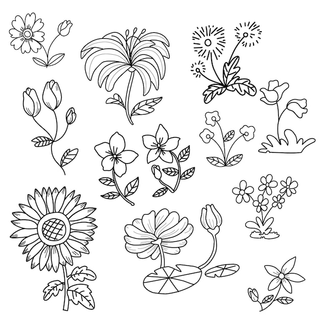 Vetor desenho de flores para colorir