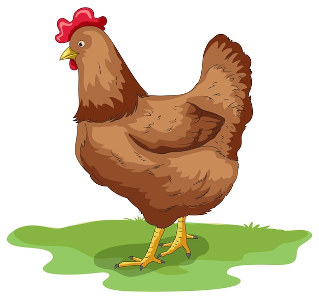 Galinha De Desenhos Animados Frango Vermelho De Penas Amarelas PNG , Desenho  Casal, Desenho Animado, Pluma Imagem PNG e Vetor Para Download Gratuito