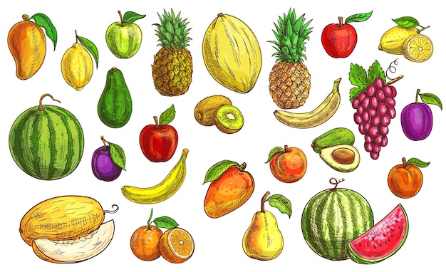 Desenho de frutas, laranja, comida de maçã e mamão