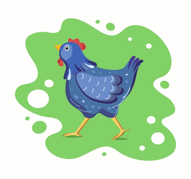 Vetor desenho de galinha 1