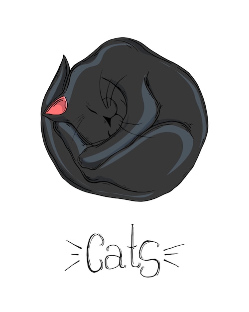 Desenho de gato preto