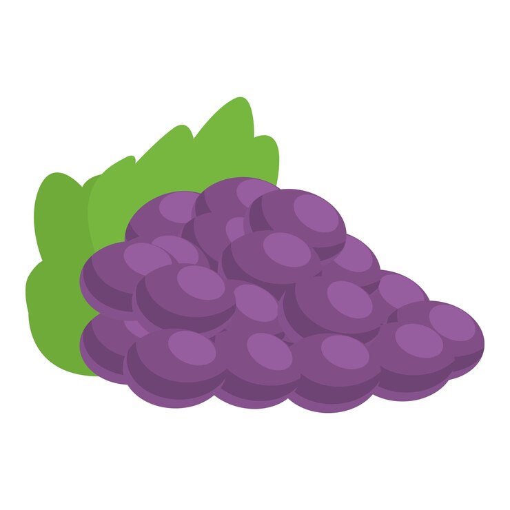 Vetor desenho de ícone de uvas da grécia antiga vetor cultura grega história do turismo