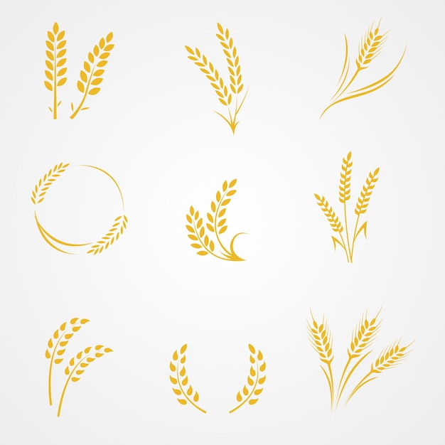 Desenho de ilustração de ícone plano de elemento gráfico de cereais de arroz e trigo