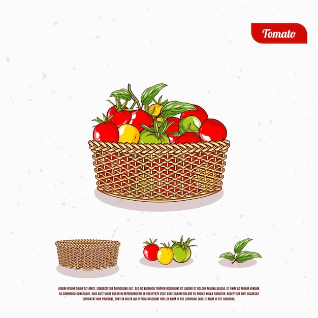 Desenho de ilustração de tomate fresco no balde