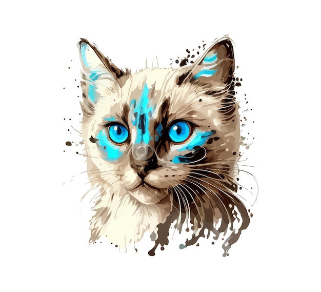 Desenho de ilustração vetorial de gato de olhos azuis