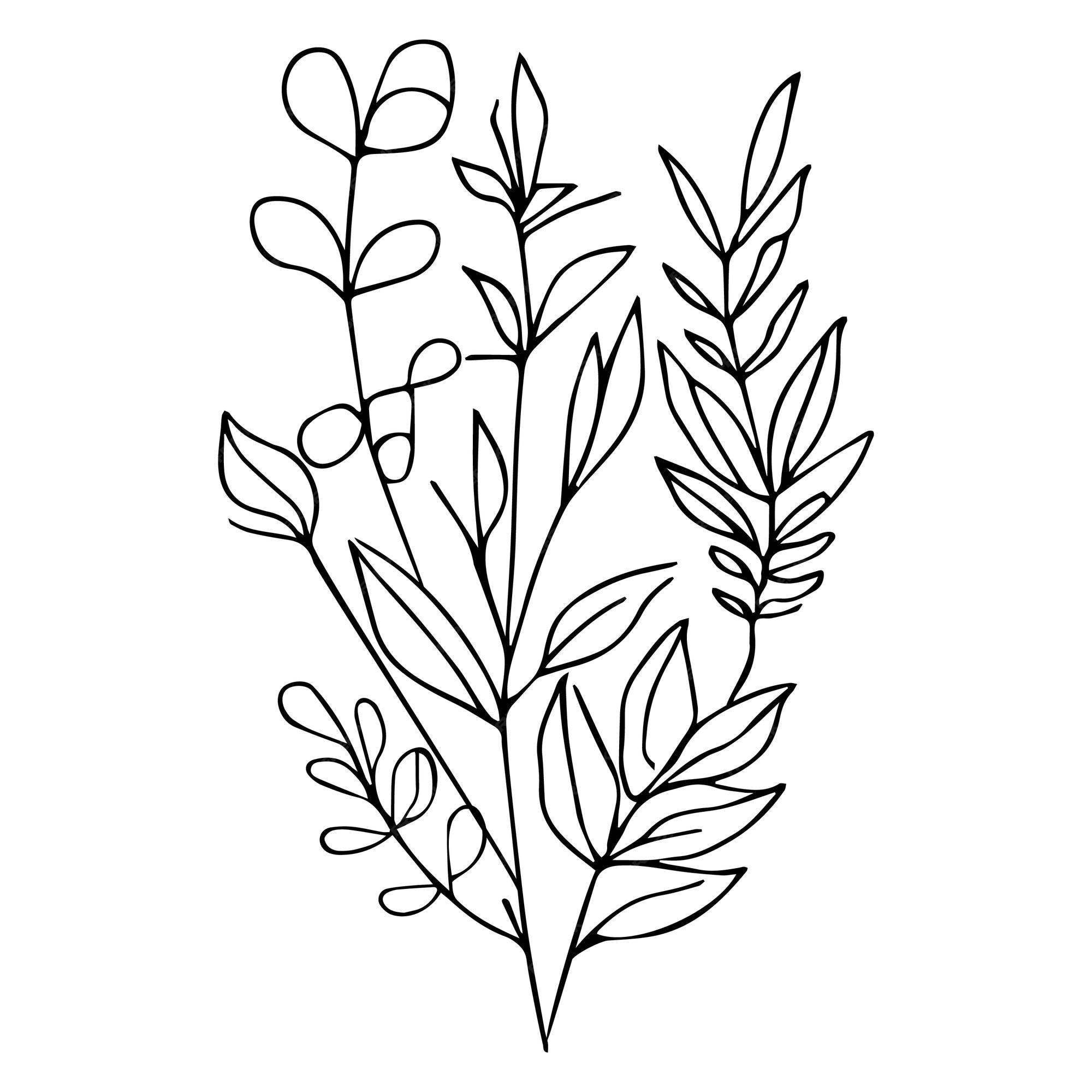 Desenho Simples Elemento De Desenho De Linha De Desenho Twig Botânica Sobre  Fundo Branco Ilustração Stock - Ilustração de linha, naughty: 272838713