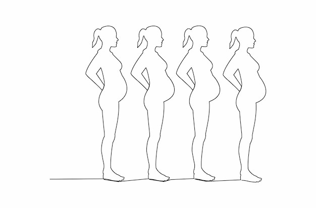 Desenho de linha contínua de ilustração vetorial de mulher grávida vetor premium