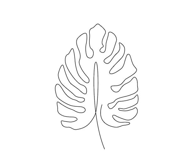 Desenho de linha contínua folha de monstera folhas tropicais desenho de contorno ilustração minimalista desenhada à mão