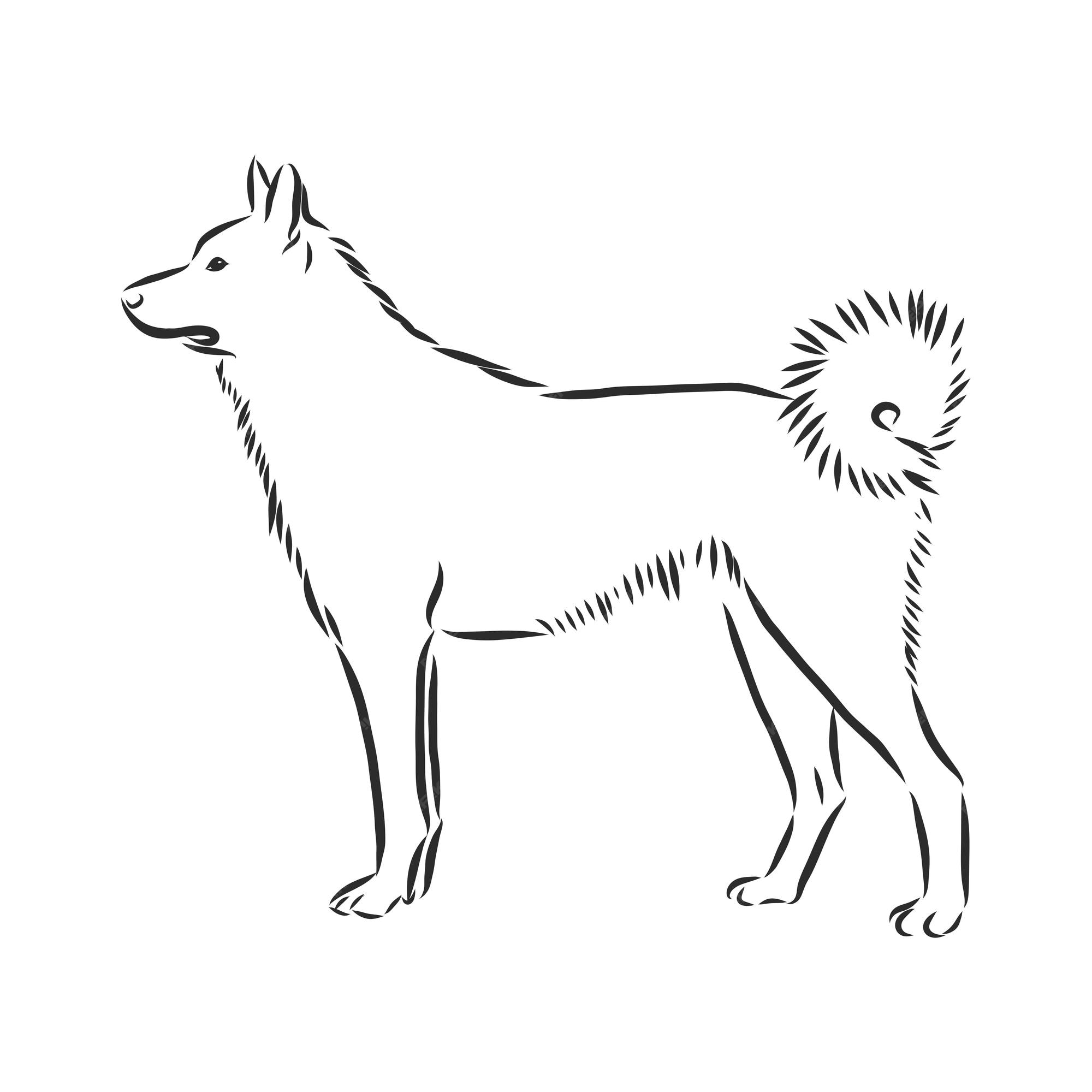 Um Desenho De Linha Contínua De Simples Bonito Siberian Husky Cachorro Cão  Cabeça Ícone. Mamíferos Animal Logotipo Emblema Conceito Vetorial. Na Moda  Única Linha Desenhar Design Gráfico Ilustração Royalty Free SVG, Cliparts