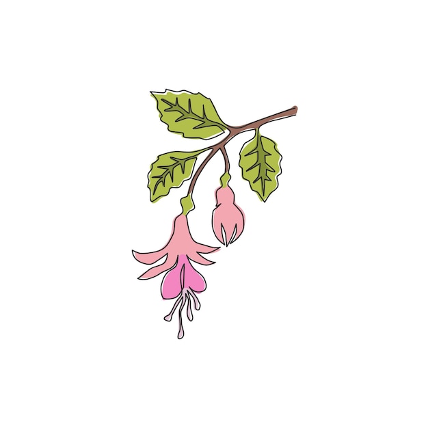 Vetor desenho de linha contínua única decoração de flores de fuchsia arte de parede planta de arbustos para vetor de design floral