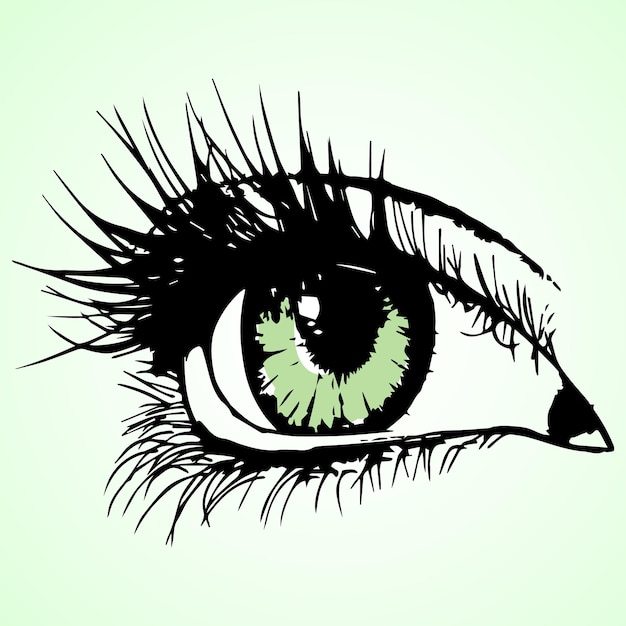 Desenho de linha de um olho verde feminino com cílios longos Ilustração desenhada à mão