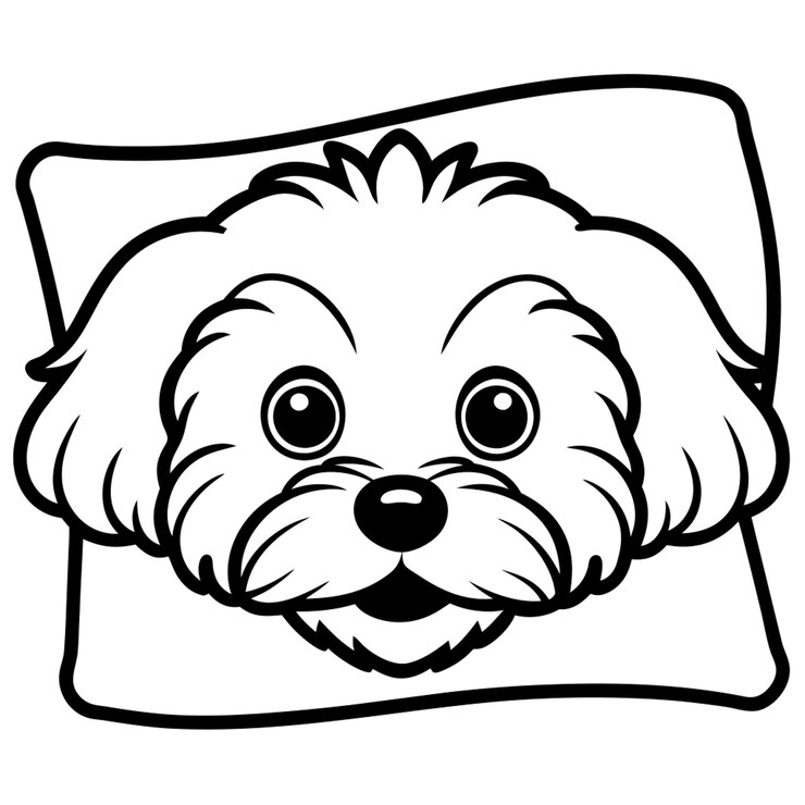 Vetor desenho de linha simples de bichon frise espreitando sobre a borda formas simples linhas em negrito fundo branco
