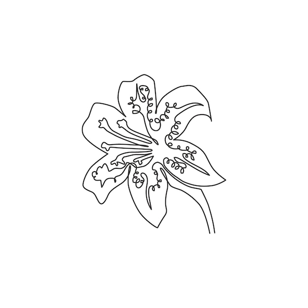 Desenho de linha única contínua lilium lancifolium vetor decorativo de design de flor de lírio de tigre verde