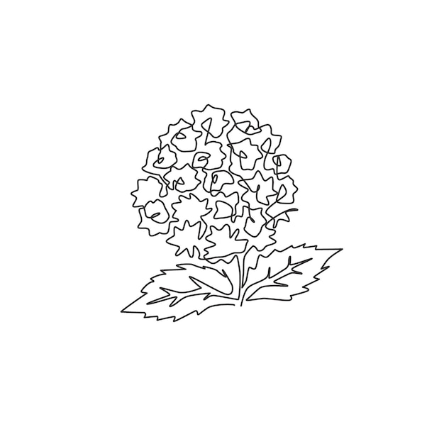 Vetor desenho de linha única contínua logotipo do jardim lantana arbusto verbena flor decoração de parede vetor de design