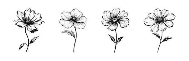 Vetor desenho de linhas pretas de flores em um fundo branco simples