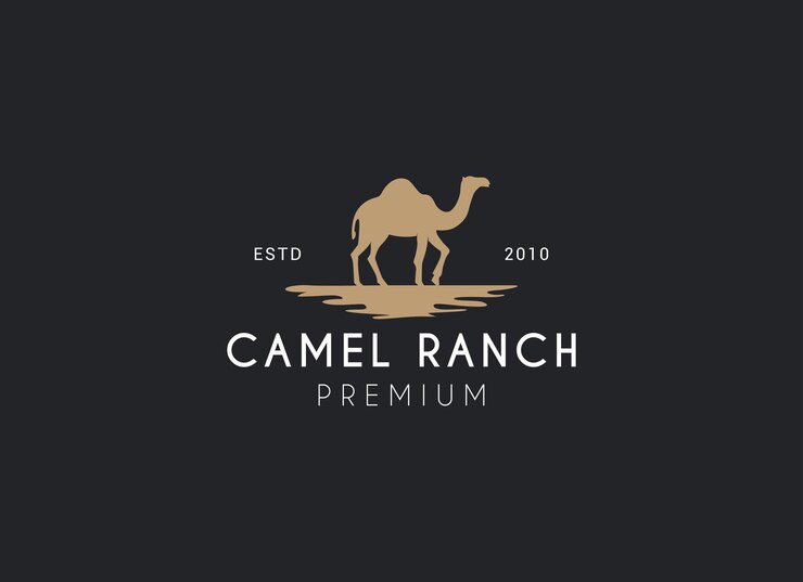 Vetor desenho de logotipo de silhueta de camelo do deserto desenho de logótipo de rancho de camelos